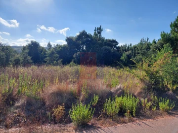 Terreno Agricola ou Rústico para Venda em A dos Francos