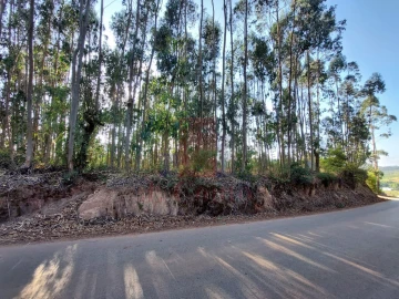 Terreno Agricola ou Rústico para Venda em A dos Francos