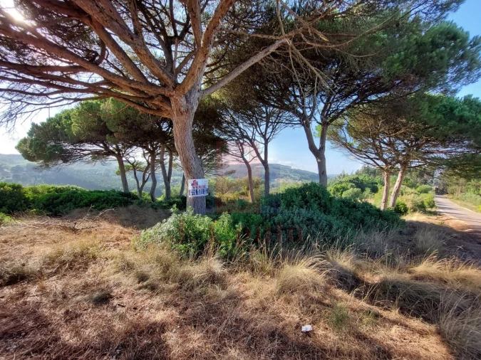 Terreno Agricola ou Rústico para Venda em A dos Francos Foto 6