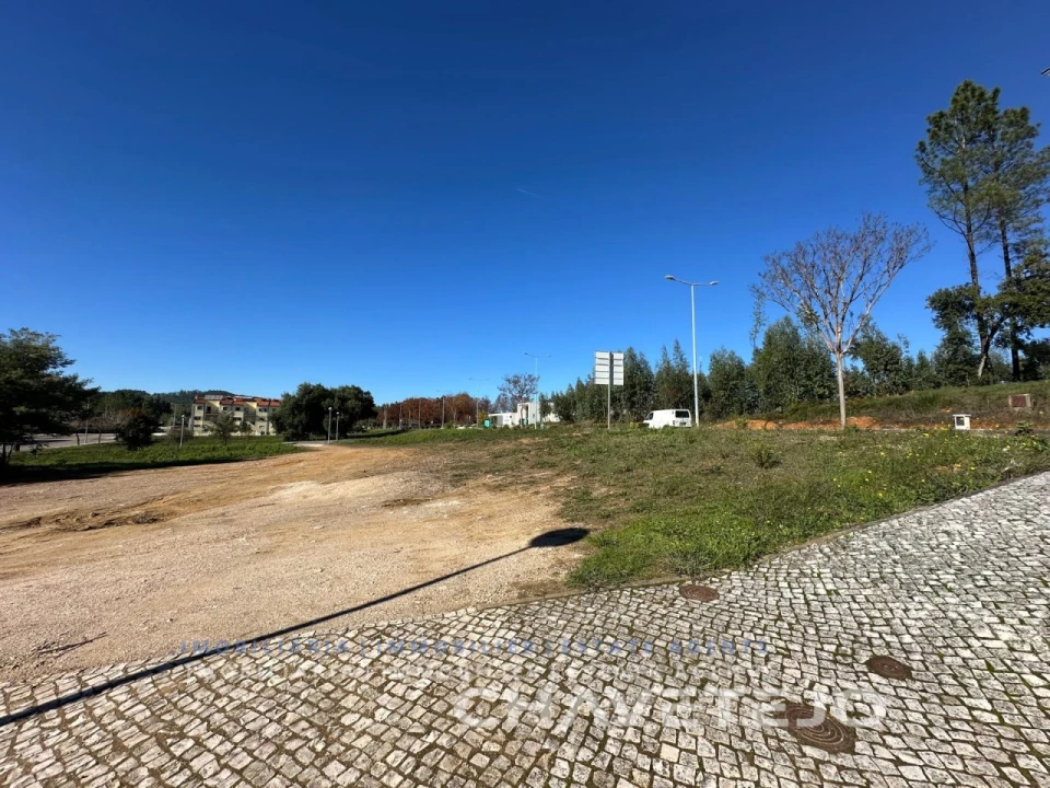 Terreno para Venda em Ferreira do Zezere Foto 5