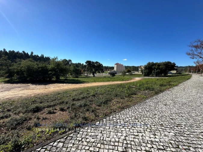 Terreno para Venda em Ferreira do Zezere Foto 2