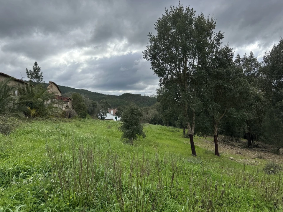 Quinta T4 para Venda em Amendoa Foto 4