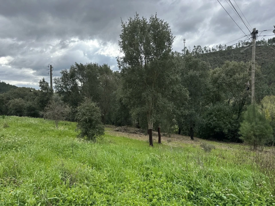 Quinta T4 para Venda em Amendoa Foto 16