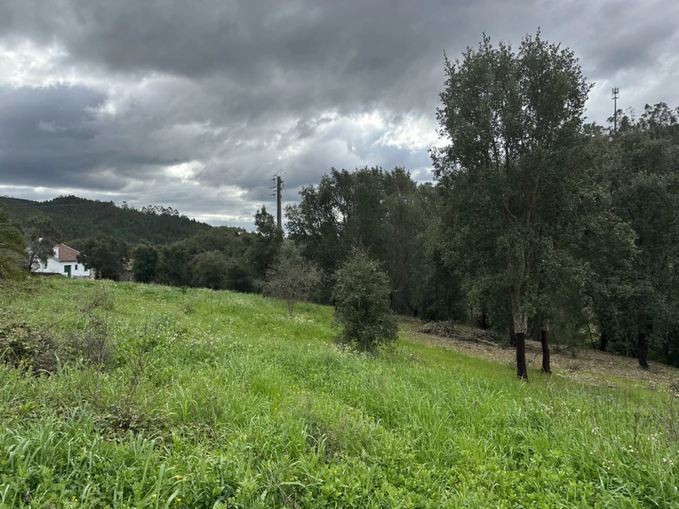 Quinta T4 para Venda em Amendoa Foto 17
