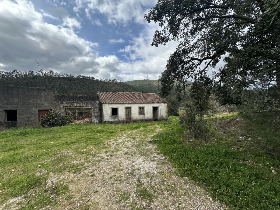 Quinta T4 para Venda em Amendoa Foto 30