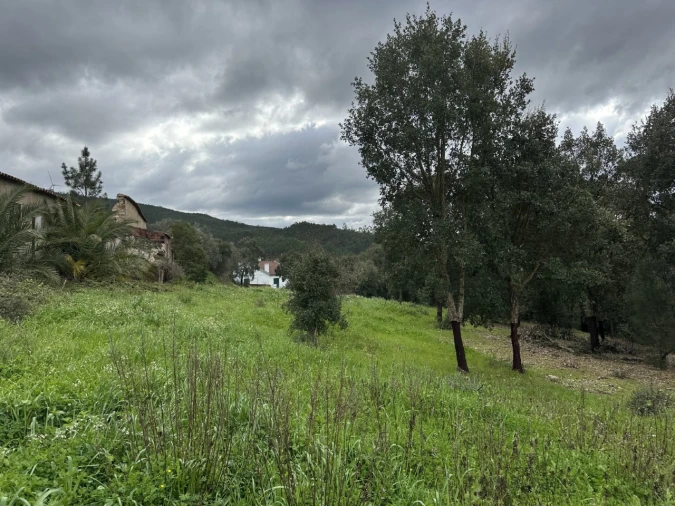 Quinta T4 para Venda em Amendoa Foto 4