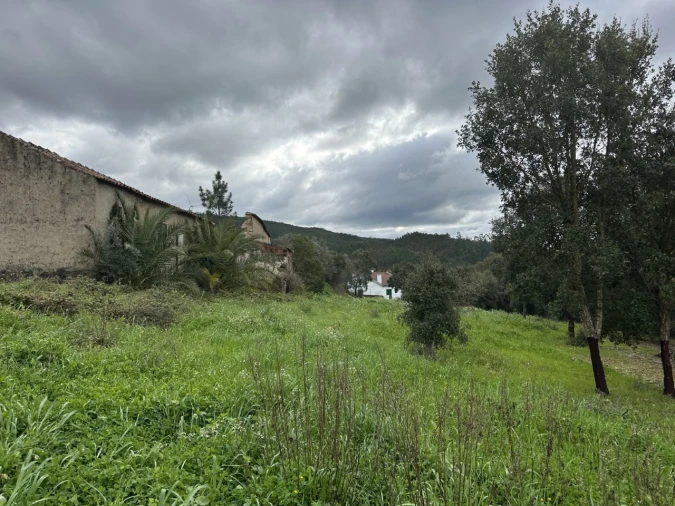 Quinta T4 para Venda em Amendoa Foto 5