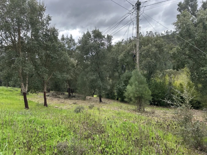 Quinta T4 para Venda em Amendoa Foto 10