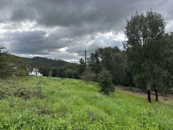 Quinta T4 para Venda em Amendoa Foto 14