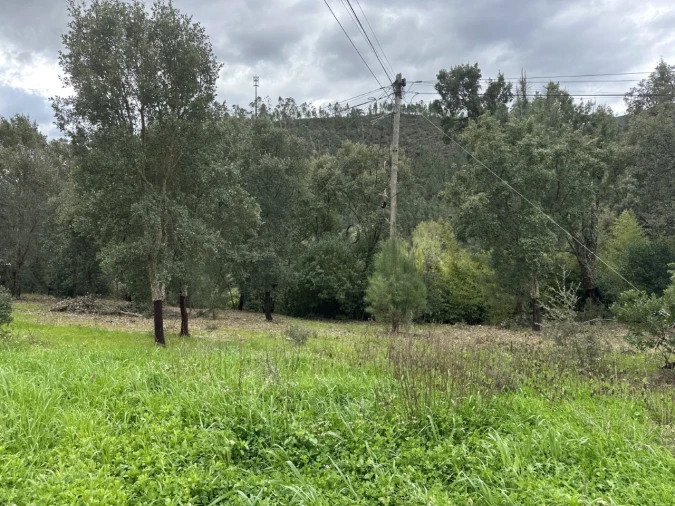 Quinta T4 para Venda em Amendoa Foto 15