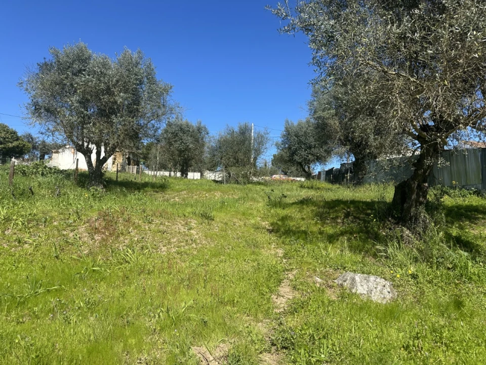 Terreno Misto para Venda em Tramagal Foto 6