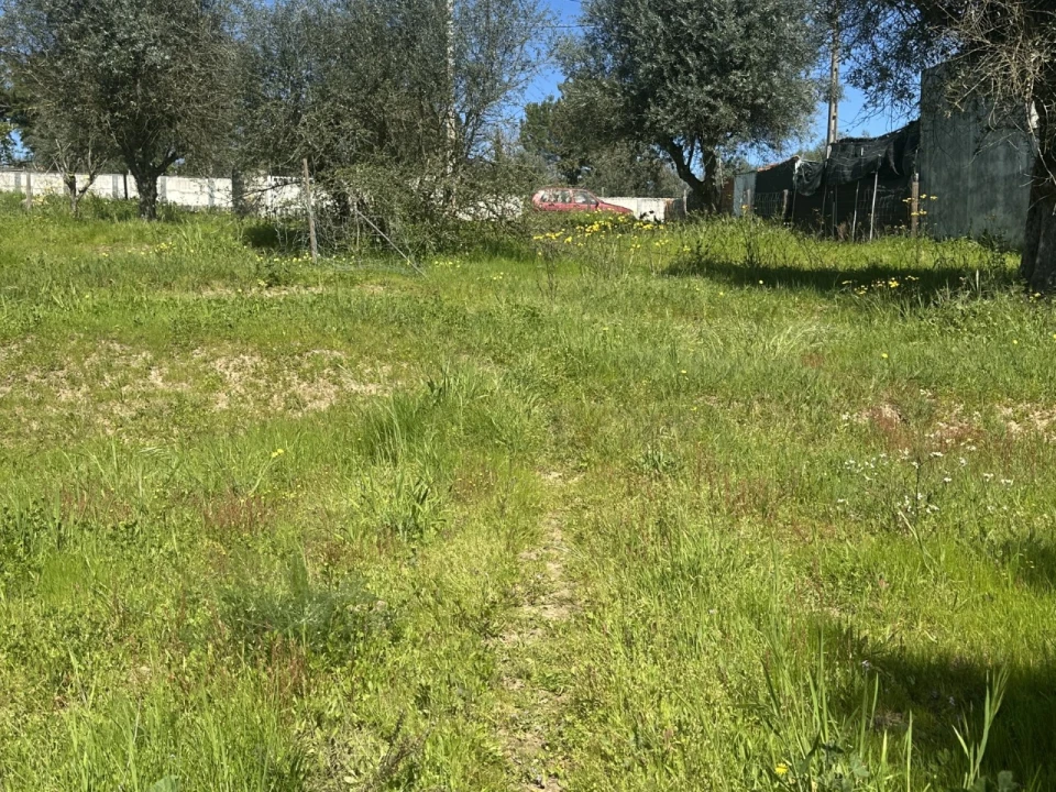 Terreno Misto para Venda em Tramagal Foto 10