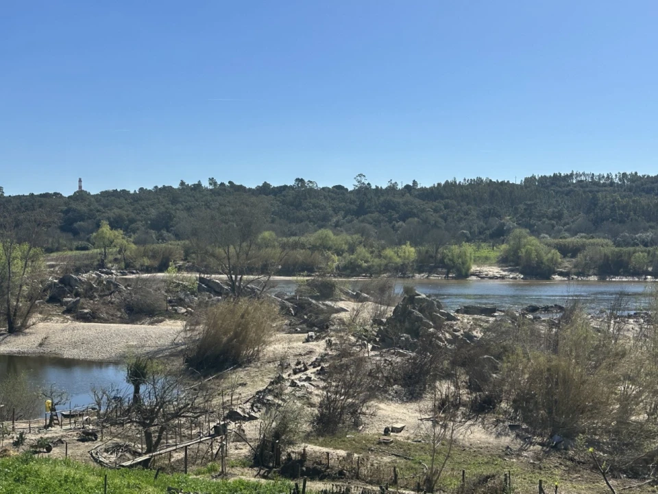 Terreno Misto para Venda em Tramagal Foto 11