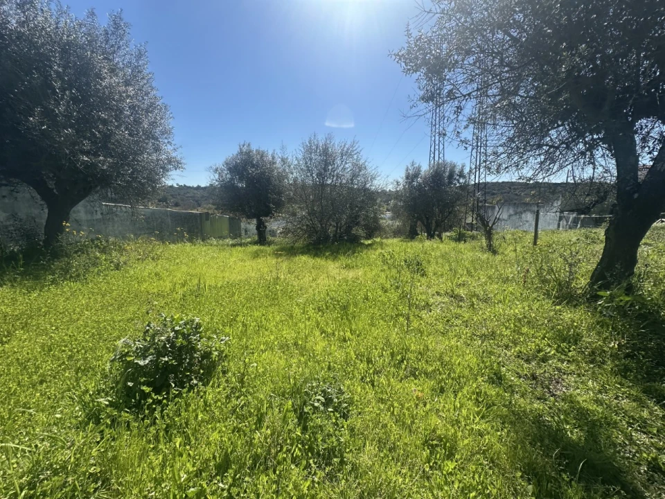 Terreno Misto para Venda em Tramagal Foto 18