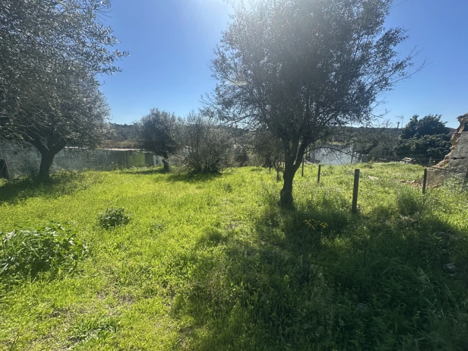 Terreno Misto para Venda em Tramagal Foto 19