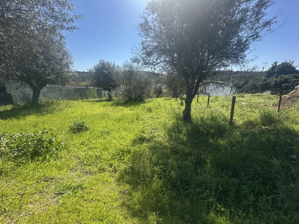Terreno Misto para Venda em Tramagal Foto 21
