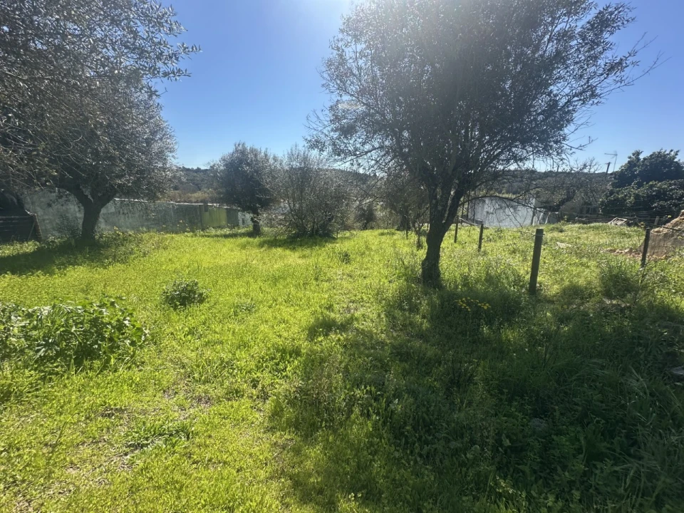 Terreno Misto para Venda em Tramagal Foto 22