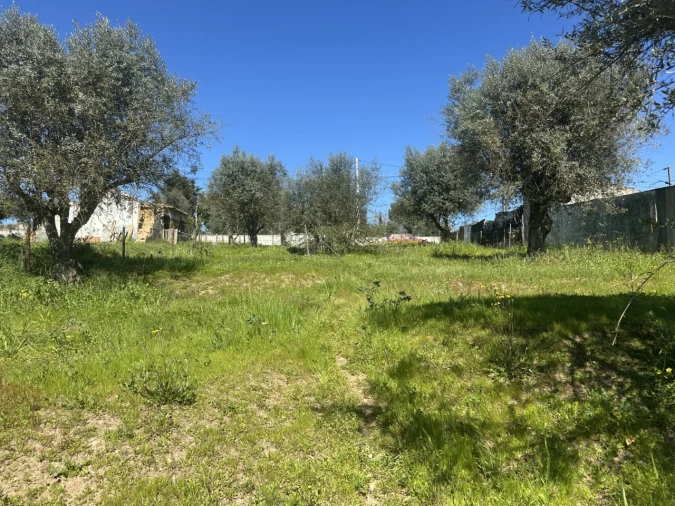 Terreno Misto para Venda em Tramagal Foto 2