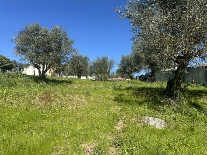 Terreno Misto para Venda em Tramagal Foto 7