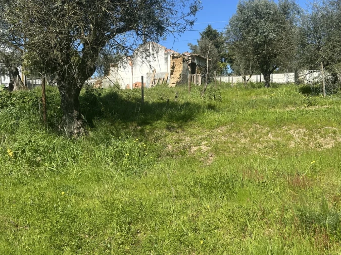 Terreno Misto para Venda em Tramagal Foto 9