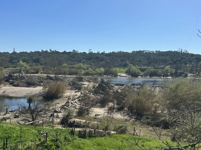 Terreno Misto para Venda em Tramagal Foto 12