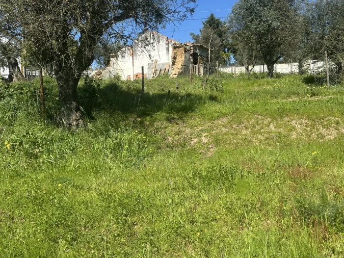 Terreno Misto para Venda em Tramagal Foto 13