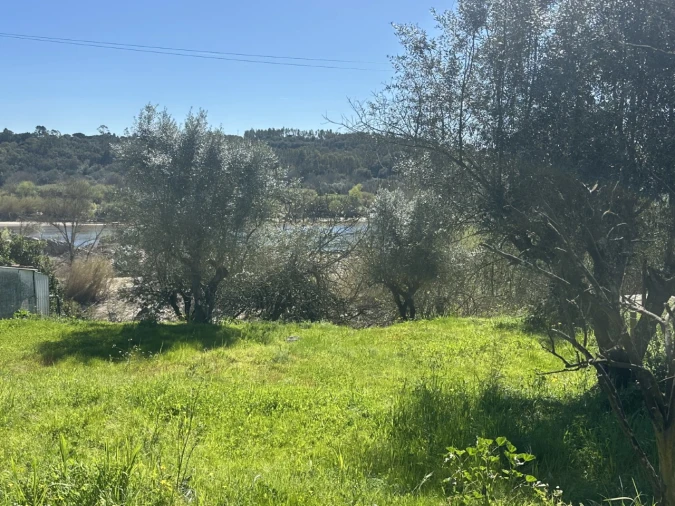 Terreno Misto para Venda em Tramagal Foto 16