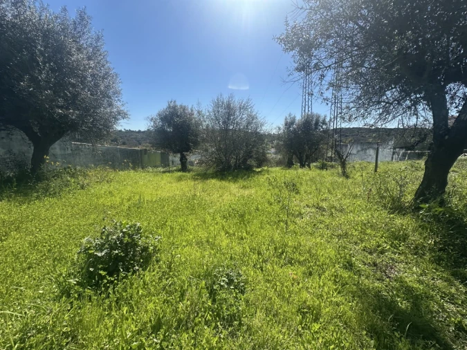 Terreno Misto para Venda em Tramagal Foto 18