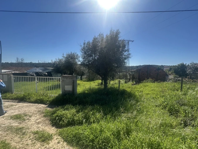 Terreno Misto para Venda em Tramagal Foto 23