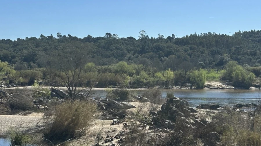 Terreno Misto para Venda em Abrantes (São Vicente e São João) e Alferrarede