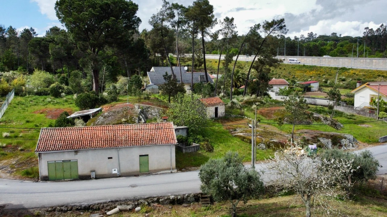 Terreno para Venda em São João de Lourosa Foto 4