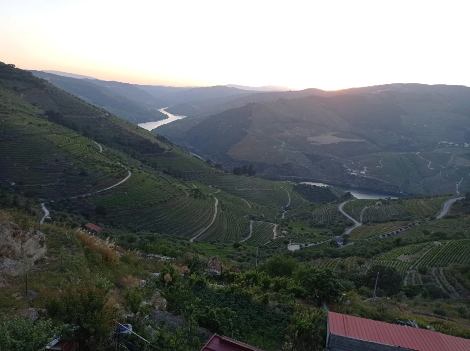 Moradia T8 para Venda em Valença do Douro Foto 15