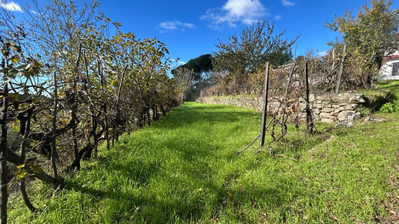 Moradia T3 para Venda em Povolide Foto 27