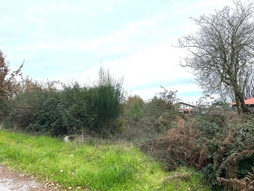 Terreno Agricola ou Rústico para Venda em Viseu