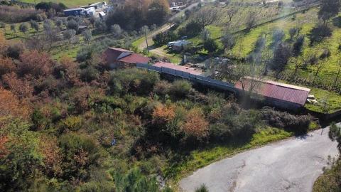 Terreno Agricola ou Rústico para Venda em Viseu