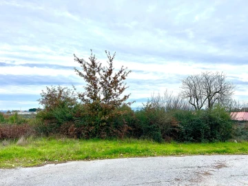 Terreno Agricola ou Rústico para Venda em Viseu