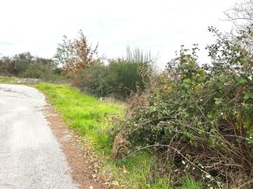 Terreno Agricola ou Rústico para Venda em Viseu