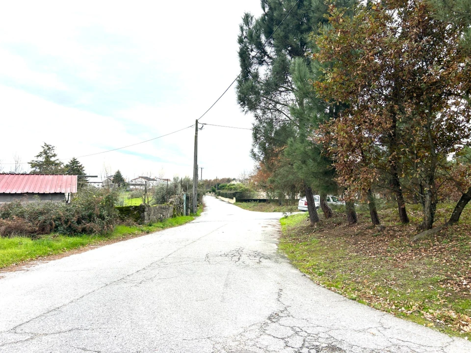 Terreno Agricola ou Rústico para Venda em Viseu Foto 8