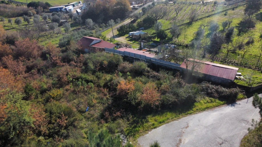 Terreno Agricola ou Rústico para Venda em Viseu Foto 4
