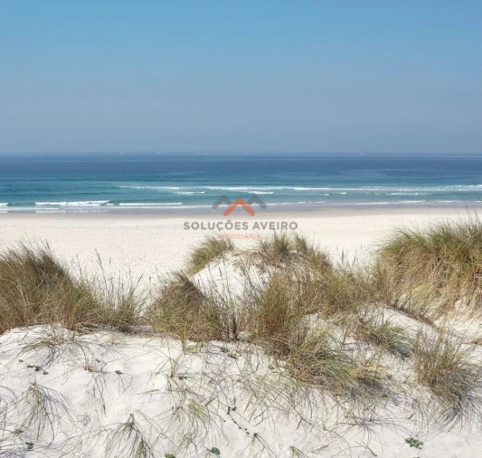 Apartamento T1 para Venda em Gafanha da Nazaré Foto 39