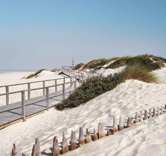 Apartamento T1 para Venda em Gafanha da Nazaré Foto 40