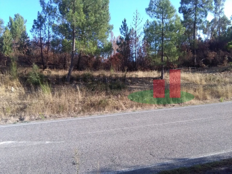 Terreno Agricola ou Rústico para Venda em Cardigos Foto 1
