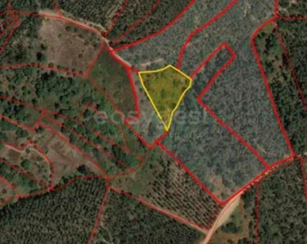 Terreno Agricola ou Rústico para Venda em Serra e Junceira