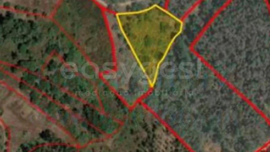 Terreno Agricola ou Rústico para Venda em Serra e Junceira
