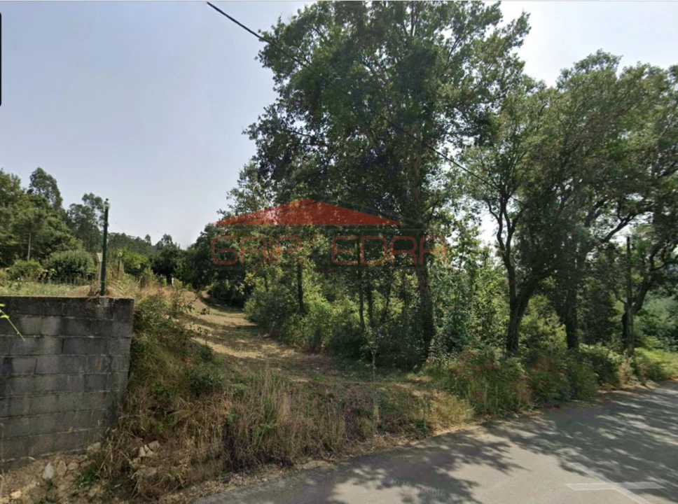 Terreno Agricola ou Rústico para Venda em Ossela Foto 3