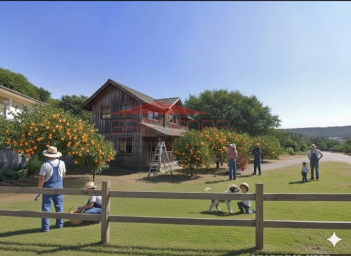 Terreno Agricola ou Rústico para Venda em Ossela Foto 1