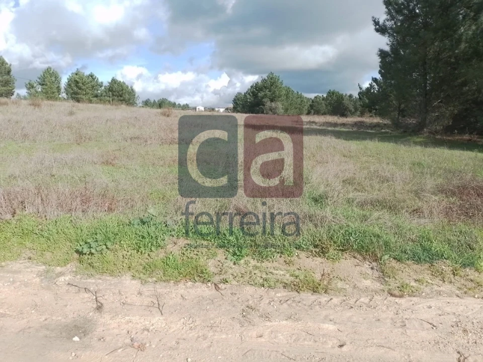 Terreno para Venda em Fazendas de Almeirim Foto 2
