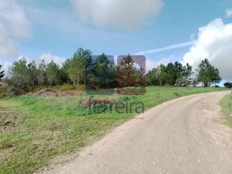 Terreno para Venda em Fazendas de Almeirim Foto 6
