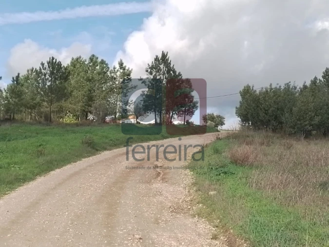 Terreno para Venda em Fazendas de Almeirim Foto 3