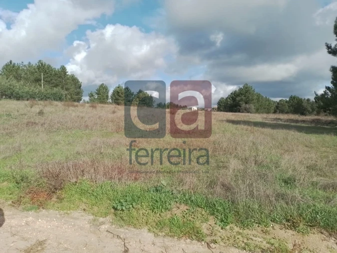 Terreno para Venda em Fazendas de Almeirim Foto 4